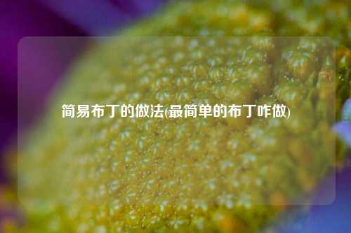 简易布丁的做法(最简单的布丁咋做)