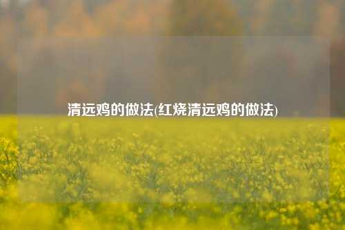 清远鸡的做法(红烧清远鸡的做法)