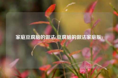 家庭豆腐脑的做法(豆腐脑的做法家庭版)
