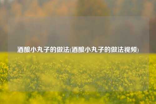 酒酿小丸子的做法(酒酿小丸子的做法视频)