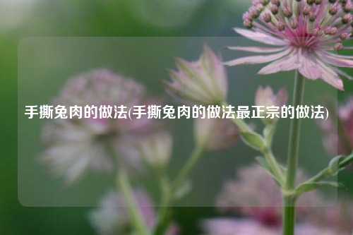 手撕兔肉的做法(手撕兔肉的做法最正宗的做法)