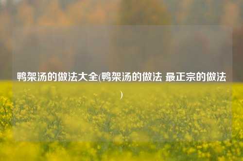 鸭架汤的做法大全(鸭架汤的做法 最正宗的做法)