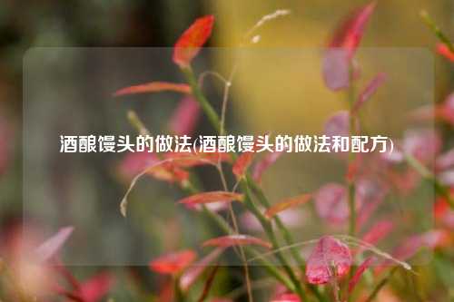 酒酿馒头的做法(酒酿馒头的做法和配方)