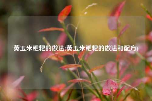 蒸玉米粑粑的做法(蒸玉米粑粑的做法和配方)