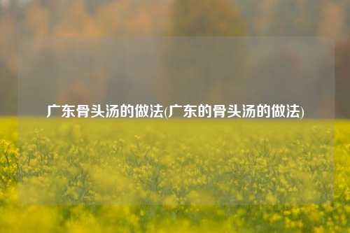 广东骨头汤的做法(广东的骨头汤的做法)