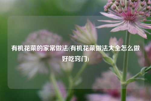 有机花菜的家常做法(有机花菜做法大全怎么做好吃窍门)