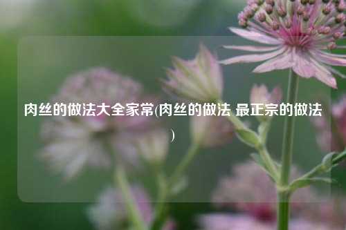 肉丝的做法大全家常(肉丝的做法 最正宗的做法)
