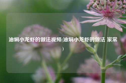 油焖小龙虾的做法视频(油焖小龙虾的做法 家常)