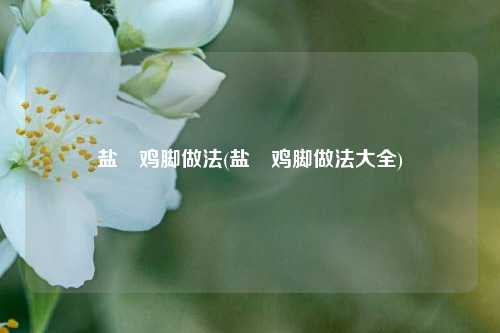 盐焗鸡脚做法(盐焗鸡脚做法大全)