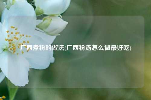 广西煮粉的做法(广西粉汤怎么做最好吃)