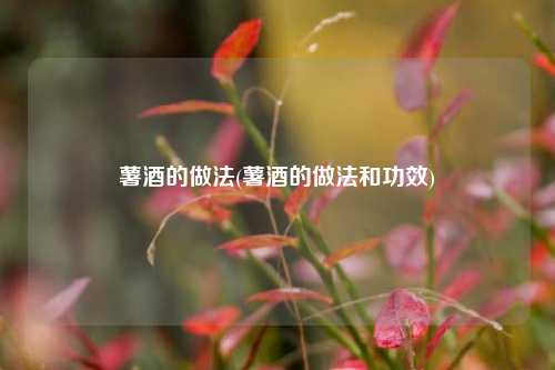薯酒的做法(薯酒的做法和功效)