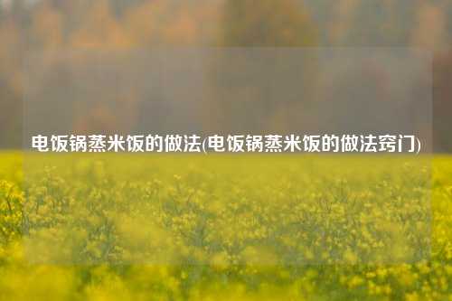 电饭锅蒸米饭的做法(电饭锅蒸米饭的做法窍门)