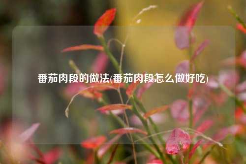 番茄肉段的做法(番茄肉段怎么做好吃)